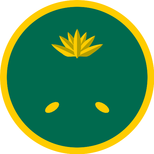 Brand 3